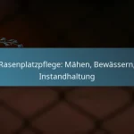 featured-image-rasenplatzpflege-mahen-bewassern-instandhaltung