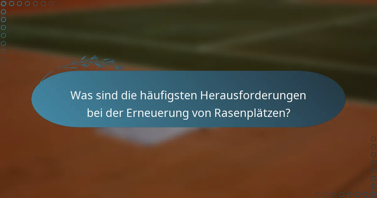 Was sind die häufigsten Herausforderungen bei der Erneuerung von Rasenplätzen?
